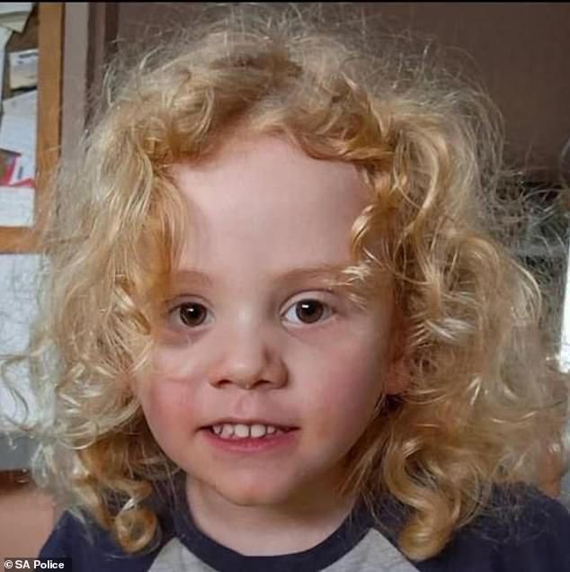 102925419-15245131-Four_year_old_August_Gus_Lamont_pictured_went_missing_on_Saturda-a-8_1761893955251.jpg