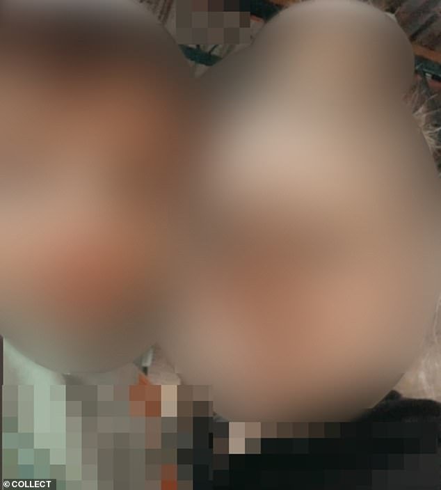 103354163-15231159-image-a-13_1761586878655.jpg