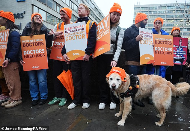Yegua en huelga antes de Navidad: el sindicato de médicos provoca el caos en el NHS después de anunciar cinco días más de huelga