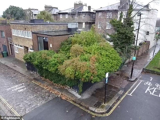 Una casa de tres habitaciones en London Mews tragada por un seto ha sido catalogada por casi £1 millón… (¡pero espera hasta ver el interior!)