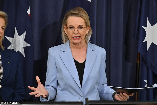 La líder de la coalición Susan Le Barnaby hace una admisión sorprendente sobre la saga de Joyce: esquiva las preguntas sobre las luchas internas de los Nacionales