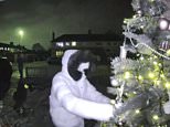 MOMENTO IMPACTANTE El Grinch de la vida real roba el árbol de Navidad al amparo de la oscuridad captado por CCTV