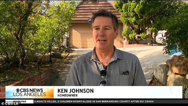 Un propietario se sorprendió al encontrar un enorme oso ‘contorsionista’ viviendo debajo de su propiedad