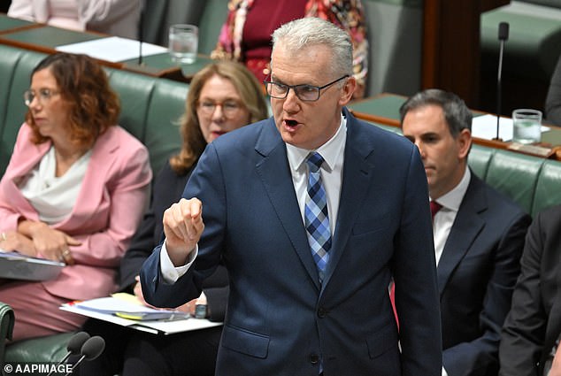104983333-15410299-Home_Affairs_Minister_Tony_Burke_said_the_British_national_came_-a-1_1766522235325.jpg