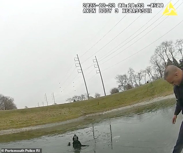 105001645-15411749-image-a-19_1766593595123.jpg