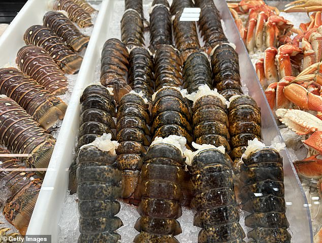 105023835-15413687-A_400_000_shipment_of_live_lobsters_was_hijacked_while_in_transi-a-69_1766720390040.jpg