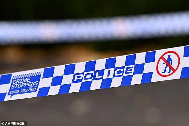 Los adolescentes se encontraban entre las seis personas arrestadas después de que la policía detuviera un automóvil en Old Toongaby y supuestamente encontrara dos armas de fuego cargadas en su interior.