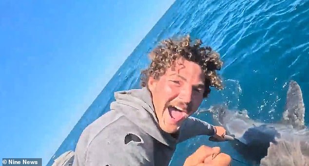 El increíble momento en el que un pescador atrapó un gran tiburón blanco de dos metros de largo