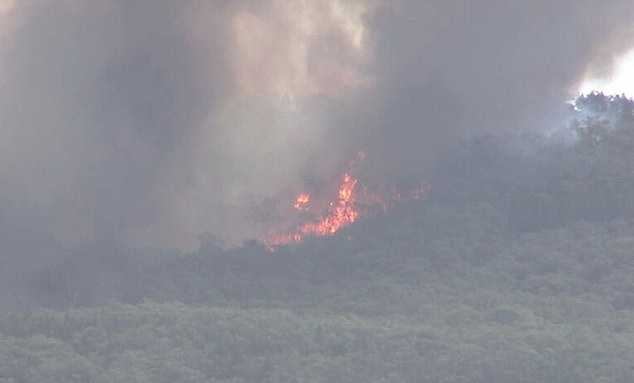 105296021-15441099-Three_emergency_bushfire_warnings_have_been_issued_in_Victoria-m-34_1767773357075.jpg