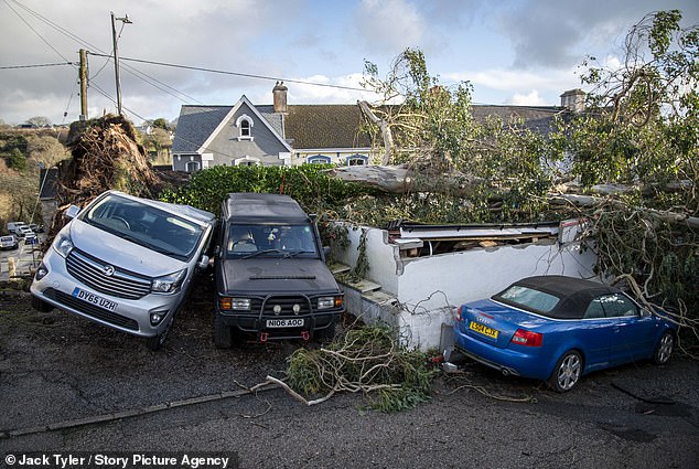 105373427-15489091-Fallen_trees_caused_carnage_during_Storm_Goretti_on_the_roads_in-a-234_1769109902258.jpg