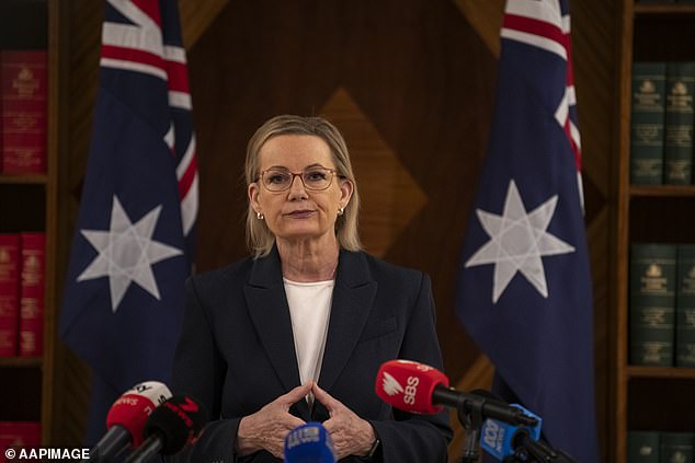 Hanson sorprendió a Canberra y los superó: ‘Como un funeral’