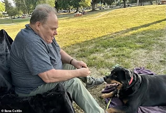 Conductor de Wiley Maserati atropella, mata a un anciano y deja atrás su auto deportivo destrozado