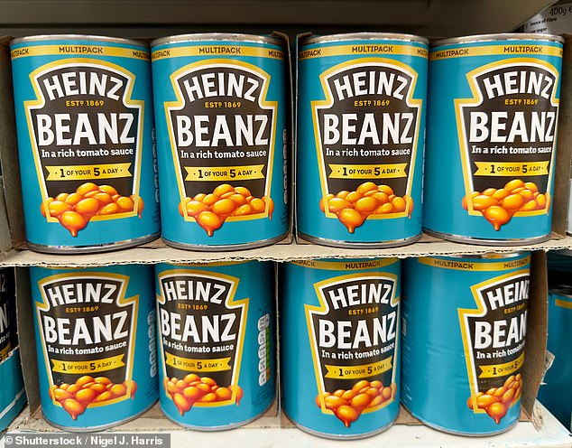 ¿Son los estudiantes más duros hoy que en los años 1970? Cómo se comparan los elementos esenciales y por qué tener una tetera para hacer fideos es un lujo indescriptible