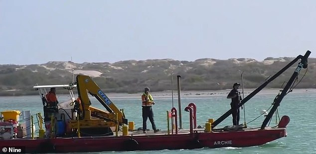 Long Bay, Goolwa Sur: Tres personas murieron después de que una avioneta se estrellara en el mar frente a los conmocionados bañistas.