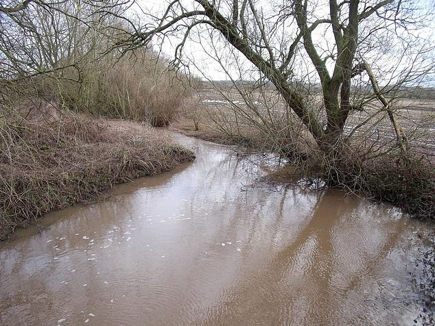 Muere un hombre que entró en un canal inundado durante una persecución policial
