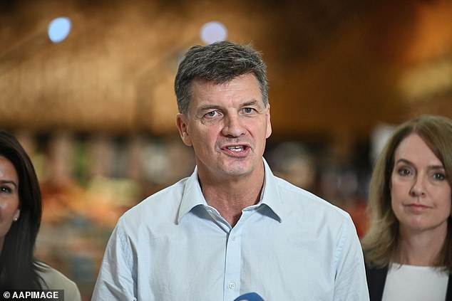 Se filtra la lista secreta de trece países que prohibirán la entrada de inmigrantes procedentes de Australia: surge una explosiva propuesta liberal al estilo Trump