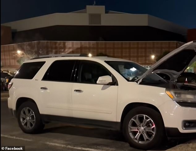 Desastre después de que una marmota se cuela en el auto de un estudiante de la Universidad de Arkansas