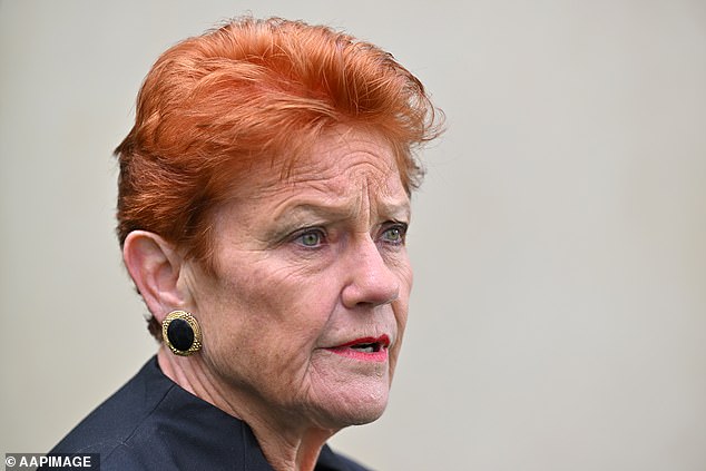 Pauline Hanson, suburbio de Sydney, dice que “la gente no puede ir” sin sentirse insegura
