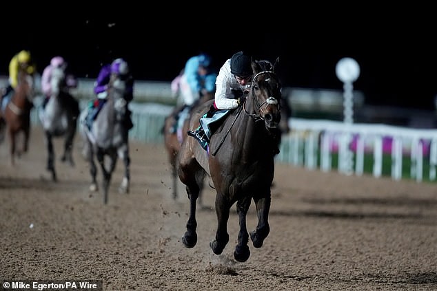 El entrenador de carreras se enfrenta a la decisión más importante de su carrera y hará una dolorosa llamada telefónica al favorito de los fanáticos de Cheltenham antes del fin de semana.
