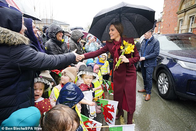 William y Kate desafían los narcisos para recibir a los visitantes en Gales antes del Día de San David