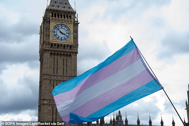 Los Verdes dicen que la prohibición de los deportes trans es racista: impulsan productos menstruales gratuitos para las “personas que menstrúan”