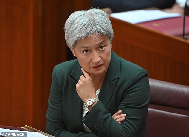 Cómo Penny Wong metió a Pauline Hanson en grandes problemas, antes de que el líder de One Nation respondiera