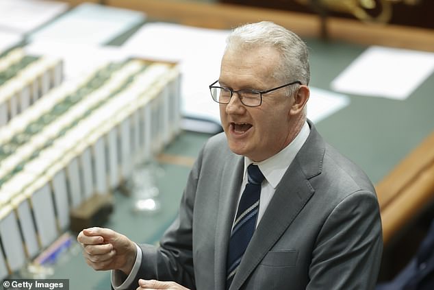 Momento dramático El proyecto de ley laborista prohíbe a terceros ayudar a las novias de ISIS, mientras Tony Burke critica la propuesta de ley “horrible”