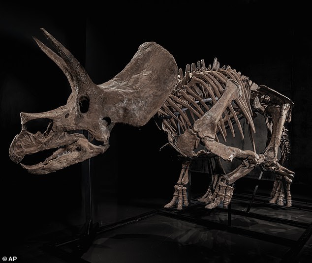 Se subastará un esqueleto de Triceratops en una plataforma fundada por Pharrell Williams