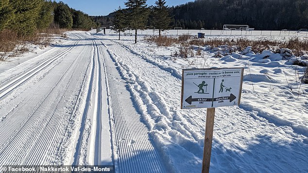 Una niña de 4 años muere en un extraño accidente de trineo mientras unos adultos la sacaban de la nieve