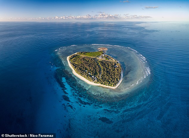 Un aterrador ataque de tiburón a un hombre frente a la isla Lady Elliot, cerca de la Gran Barrera de Coral