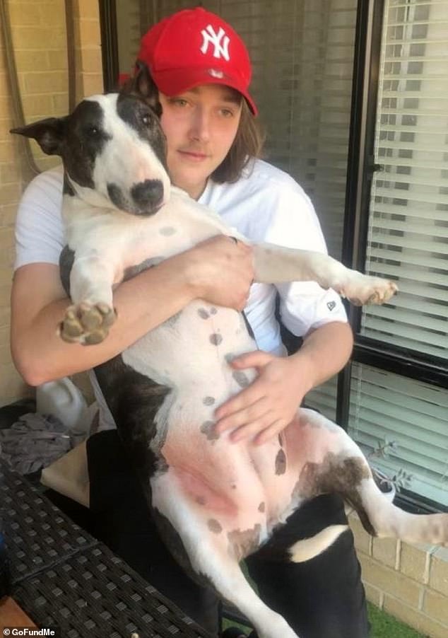 “Aussie captura la indignación de los victorianos después de que Melbourne usara ‘machete en abundancia’ después de apuñalar a un buen samaritano”.