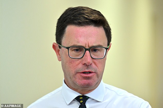 David Littleproud dimite: el líder de los Nacionales lucha por contener las lágrimas mientras renuncia y admite: “Me he avergonzado y ya he tenido suficiente”