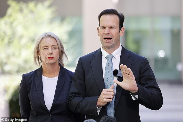 Matt Canavan ha sido elegido nuevo líder de los Nacionales mientras el partido One Nation de Pauline Hanson amenaza con colapsar.