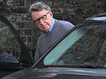 107107217-0-The_PM_is_said_to_have_left_his_aides_to_ask_Mandelson_pictured_-m-5_1776350245700.jpg
