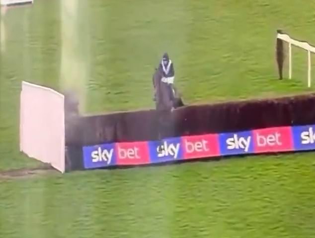 El impactante momento en que un jockey obliga a un caballo cansado a saltar la valla final en un final extraño para una carrera caótica solo para ser PROHIBIDO por un incidente “extremadamente desagradable”