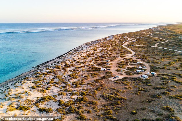 Mujer mordida por tiburón en Currajong Campground, Exmouth