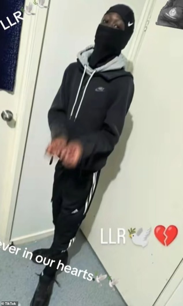 107162643-15649235-Tributes_have_flooded_TikTok_for_young_Robbie-m-29_1773635663631.jpg