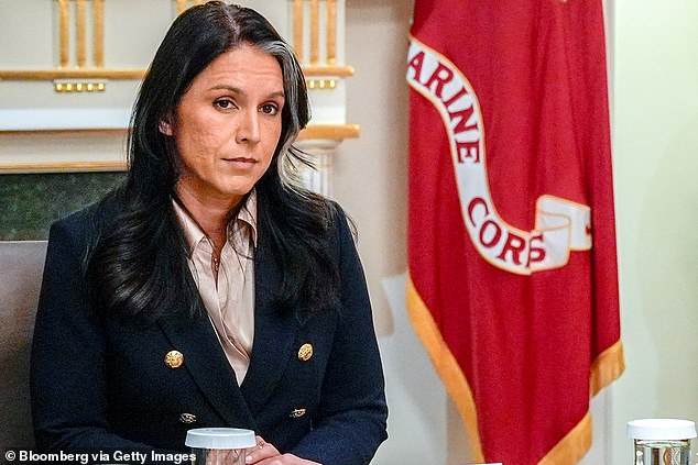 La renuncia del terror terrorista provoca pánico mientras Tulsi Gabbard emerge como la próxima estrella de Trump