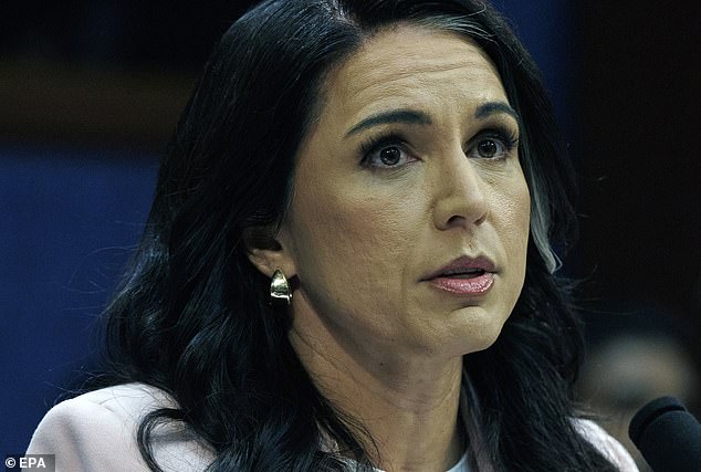 107264487-15661603-A_defiant_Tulsi_Gabbard_was_forced_onto_the_back_foot_today_duri-a-2_1773935414080.jpg