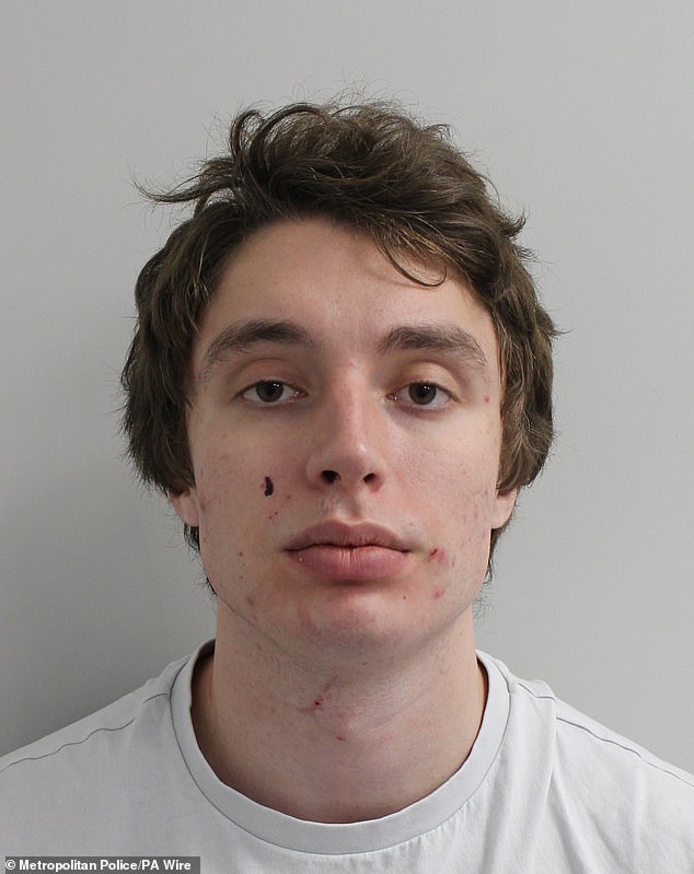 El rico barón ruso Trump sentenciado a cuatro años de cárcel por golpear a su novia mientras hacía Facetiming: el juez dice que un matón “completamente impenitente” se enfrenta a la deportación