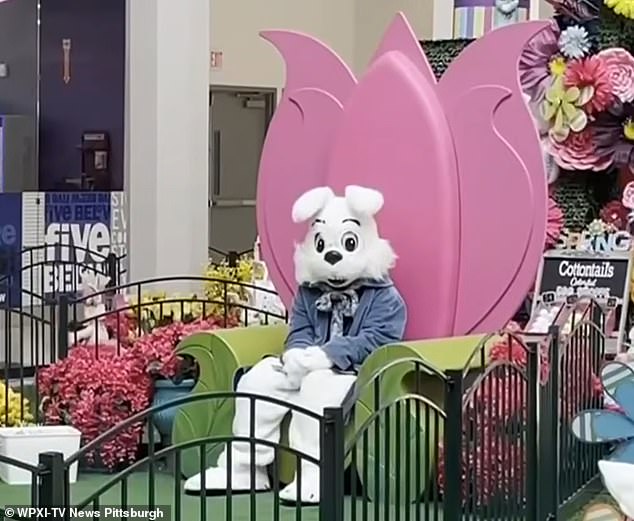 Hombre aterrador ataca a un conejito de Pascua en un centro comercial antes de preguntarle si es “niño o niña”