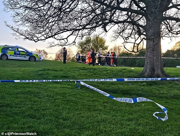 Un hombre de 21 años muere y otro es llevado al hospital después de una pelea por “tomar el sol” en Primrose Hill de Londres: se inicia una investigación por asesinato y una persecución humana