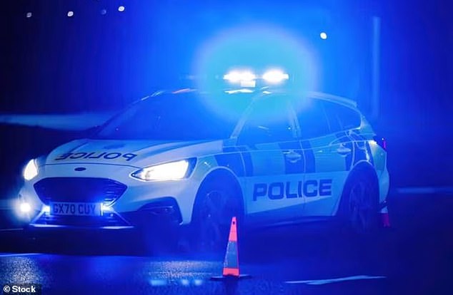 Un hombre de 23 años ha muerto y otras siete personas han sido trasladadas al hospital tras un accidente de varios vehículos durante una “persecución policial”.