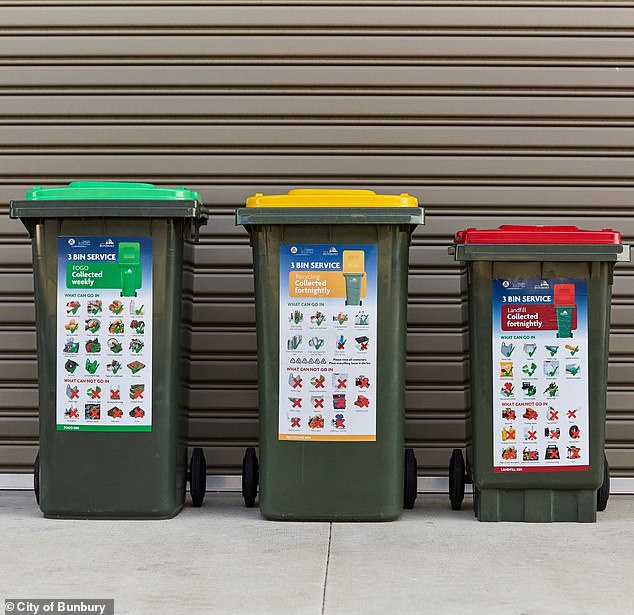 107847843-15727717-An_Aussie_council_is_considering_ditching_FOGO_bins_calling_the_-m-18_1776069472077.jpg