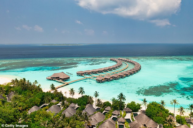 Ataque de tiburón en luna de miel: novia recién casada lucha por su vida y le amputan una pierna durante las vacaciones en Maldivas