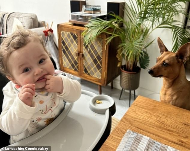 108243239-15818769-Preston_Davey_pictured_by_his_adopted_father_Jamie_Varley_37_the-a-1_1778776254381.jpg
