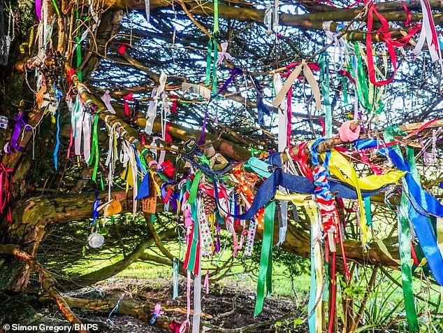 Influencer ‘bruja’ que lee el tarot enoja a las familias en duelo al cortar cintas conmemorativas del árbol de la iglesia porque son ‘plásticas y no biodegradables’