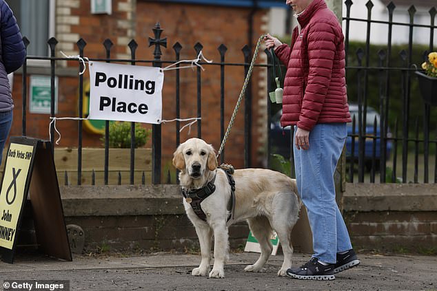 ¡Perros en los colegios electorales! Las mejores fotografías son las de los votantes que llevan a sus amigos de cuatro patas a votar en las elecciones locales.