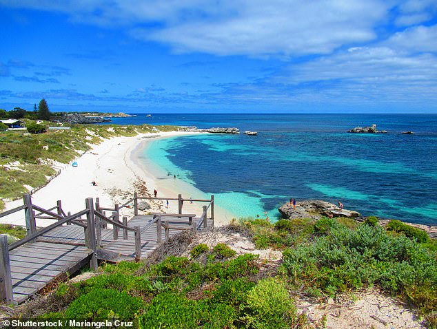 Un hombre de 30 años fue atacado por un tiburón de cinco metros en la isla Rottnest
