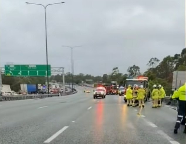 Pacific Highway: una mujer murió atropellada por una ute después de que se detuviera para discutir los detalles con el conductor después de un accidente menor.